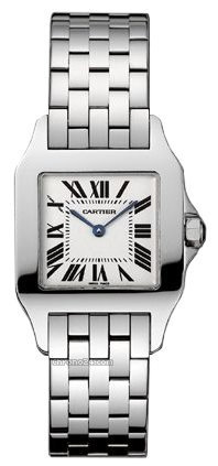 Cartier SANTOS DEMOISALLE MIDSIZE - STAINLESS STEE - NEW ONLY $2,900 watches