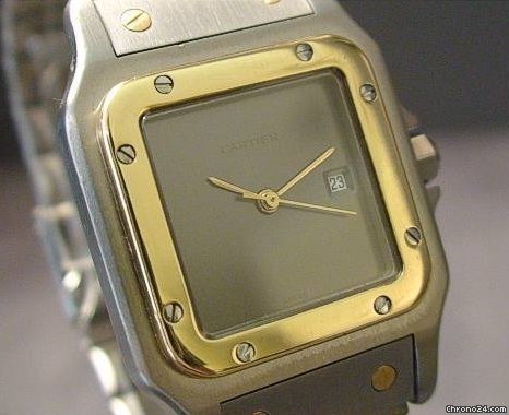 Cartier SANTOS RUTHENIUM watches