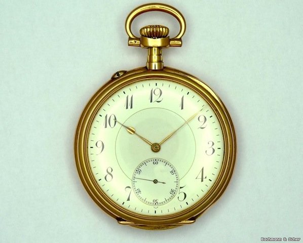 IWC L'epine - open face watches