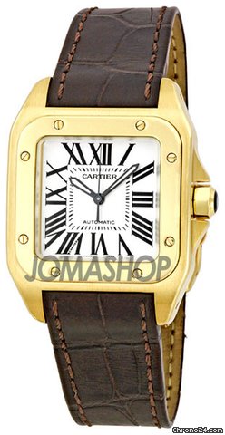Cartier Santos 100 Ladies Watch W20112Y1 watches