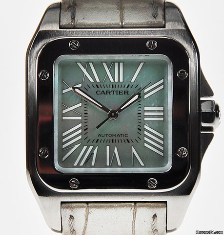 Cartier SANTOS 100 W20106X8 watches