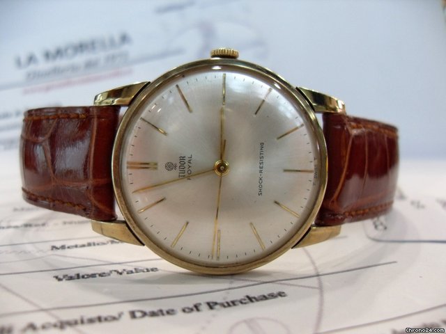 Tudor Royal watches