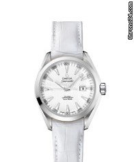 Omega Seamaster Aqua Terra / D.S.R.NEW watches