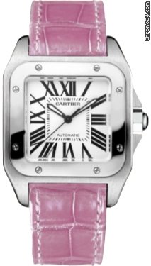 Cartier Santos 100 watches