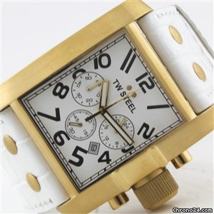 TW Steel TW 107 watches