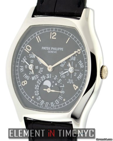 Patek Philippe Perpetual Calendar Platinum 5040P watches