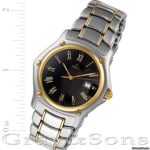 Ebel 1911 187902 watches