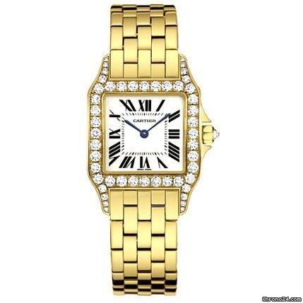 Cartier Santos Demoiselle Mid-Size WF9002Y7 watches