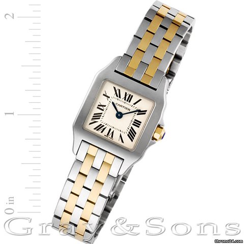 Cartier Demoiselle W25066Z6 watches