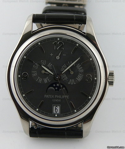 Patek Philippe Annual Calendar Gray Dial watches