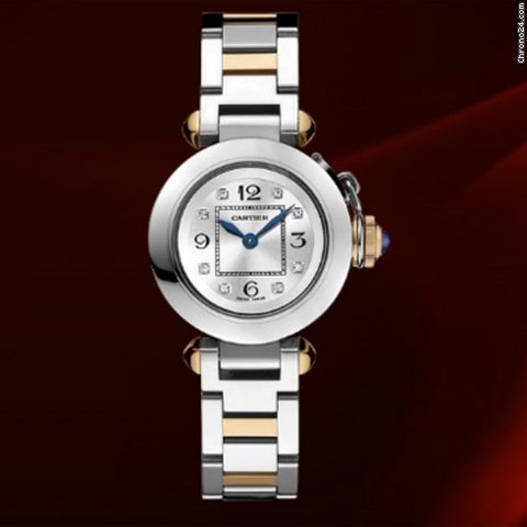 Cartier Miss Pasha Ref.wj124020 watches
