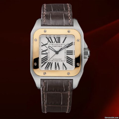 Cartier Santos 100 Medium Size Ref. W20107x7 watches
