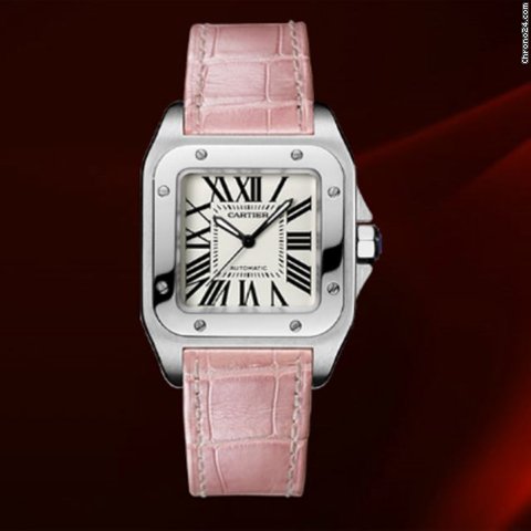 Cartier Santos 100 Medium Size Ref.w20126x8 watches