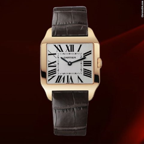 Cartier Santos Dumont Ref.w2009251 watches