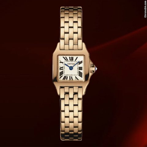 Cartier Santos Demoiselle Oro Rosa Ref.w25077x9 watches