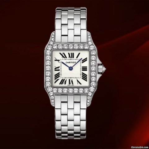Cartier Santos Demoiselle Oro Bianco E Diamanti Ref.wf9004y8 watches