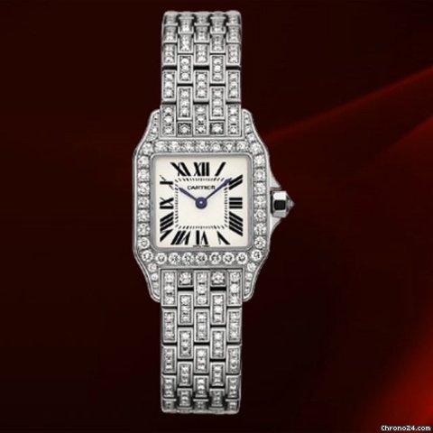 Cartier Santos Demoiselle Oro Bianco E Diamanti Ref.wf9003ya watches