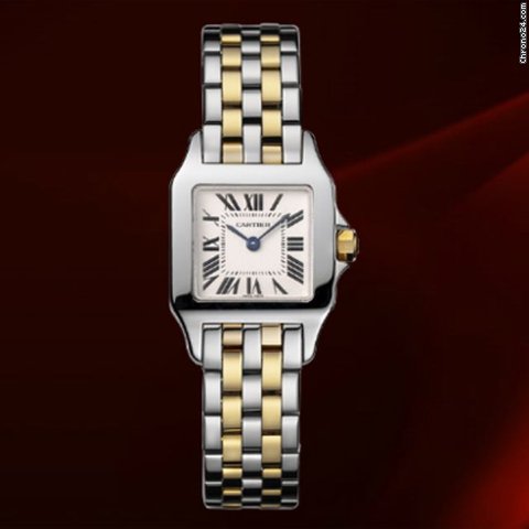 Cartier Santos Demoiselle Acciaio E Oro Giallo Ref.w25066z6 watches