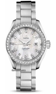 Omega Seamaster Aqua Terra Quartz 30.0 mm watches