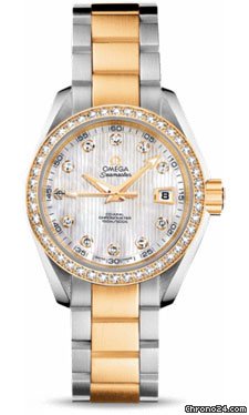 Omega Seamaster Aqua Terra Automatic Steel And Yellow Gold watches