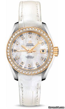 Omega Seamaster Aqua Terra Automatic Steel And Yellow Gold watches