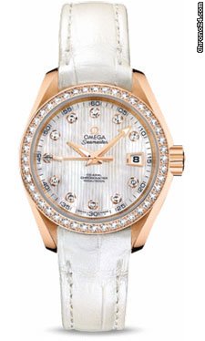 Omega Seamaster Aqua Terra Automatic Red Gold watches