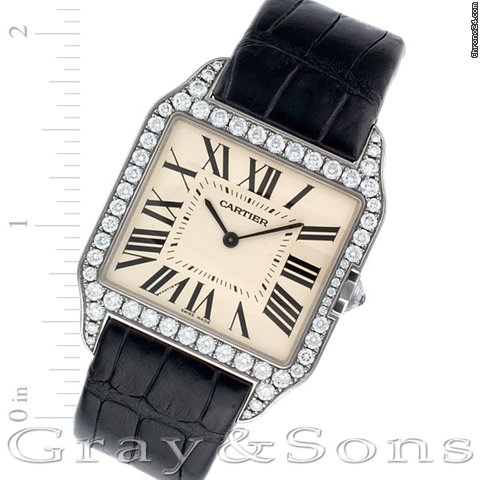 Cartier Santos Dumont WH100651 watches