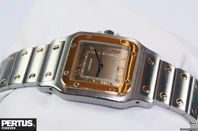 Cartier Santos Antracite Dial watches