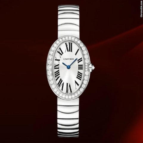 Cartier Baignoire Small Size Ref.wb520006 watches