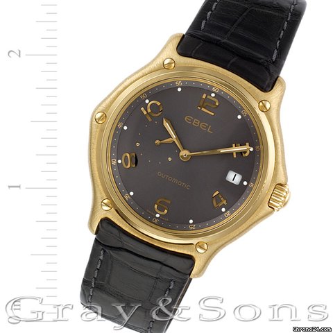 Ebel 1911 8331240 watches