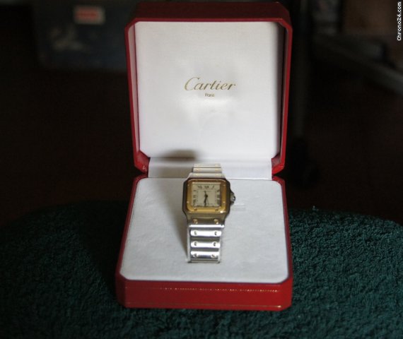 Cartier Santos - Hombre watches