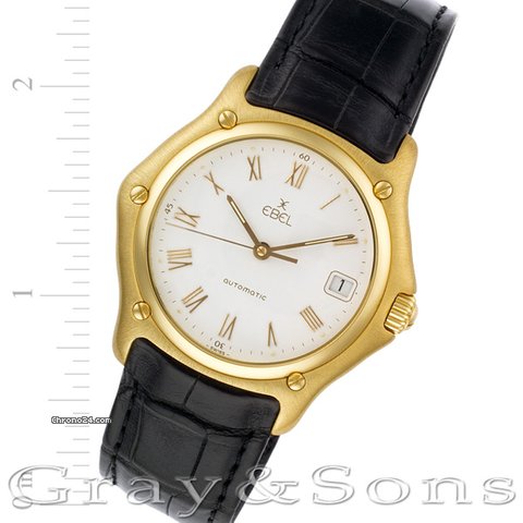 Ebel 1911 8255F41/6235134 watches