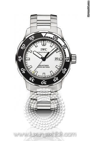 IWC Aquatimer Stainless Steel Mens Watch 3568-09 watches