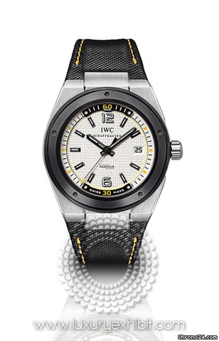 Replica IWC Ingenieur Climate Action Stainless Steel Mens Watch 3234-02 Watch