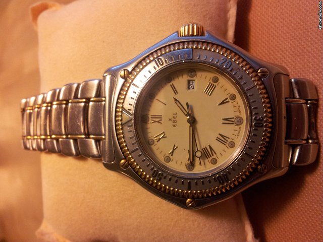 Ebel Discovery Diver¡äs watches