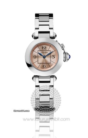 Cartier Miss Pasha Stainless Steel Ladies Watch W3140008 watches