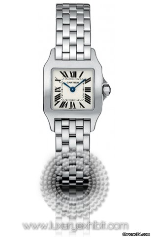 Cartier Santos Demoiselle Stainless Steel Ladies Watch W25064Z5 watches