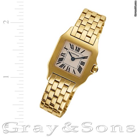 Cartier Santos Demoiselle W25063X9 watches
