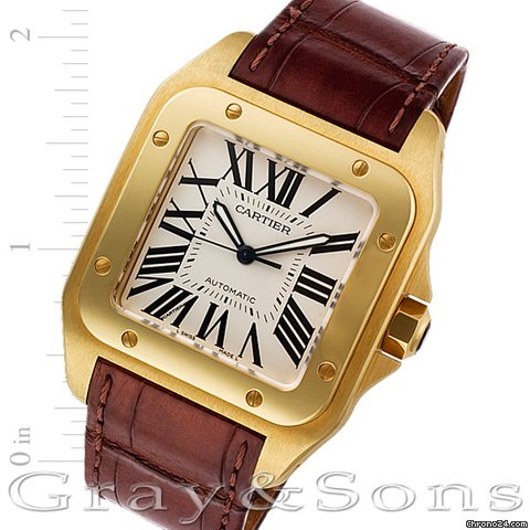 Cartier Santos 100 W20071Y7 watches