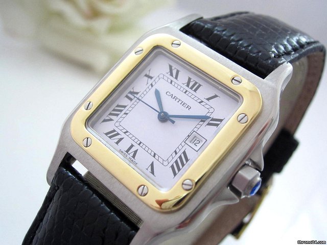 Cartier Santos Carree GM watches