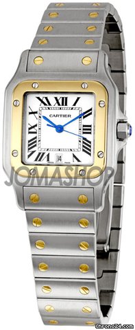 Cartier Santos Two-Tone 18kt Yellow Gold and Steel Mens Watch W20011C4 watches