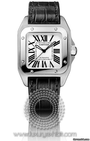 Cartier Santos 100 Stainless Steel Unisex Watch W20106X8 watches