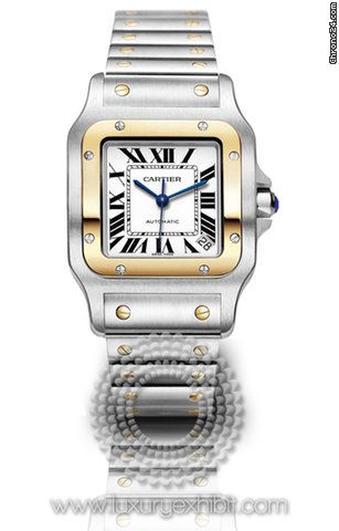Cartier Santos 18kt Yellow Gold And Stainless Steel Mens Watch W20099C4 watches