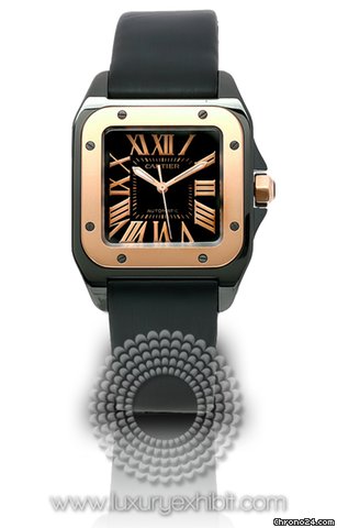 Cartier Santos Stainless Steel and Titanium Mens Watch W2020007 watches
