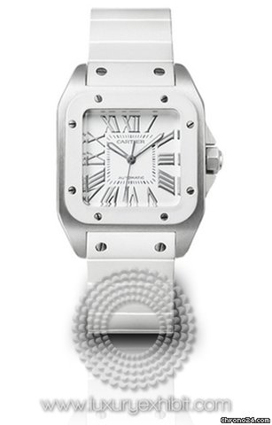 Cartier Santos 100 Stainless Steel Ladies Watch W20122U2 watches