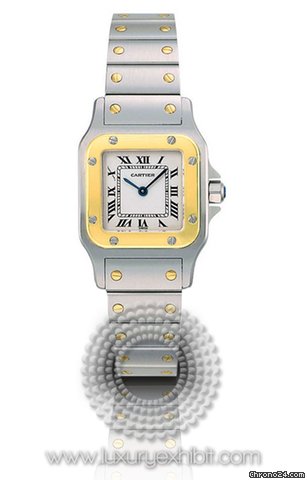 Cartier Santos 18kt Yellow Gold and Stainless Steel Ladies Watch W20012C4 watches