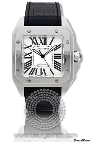 Cartier Santos Stainless Steel Mens Watch W20073X8 watches