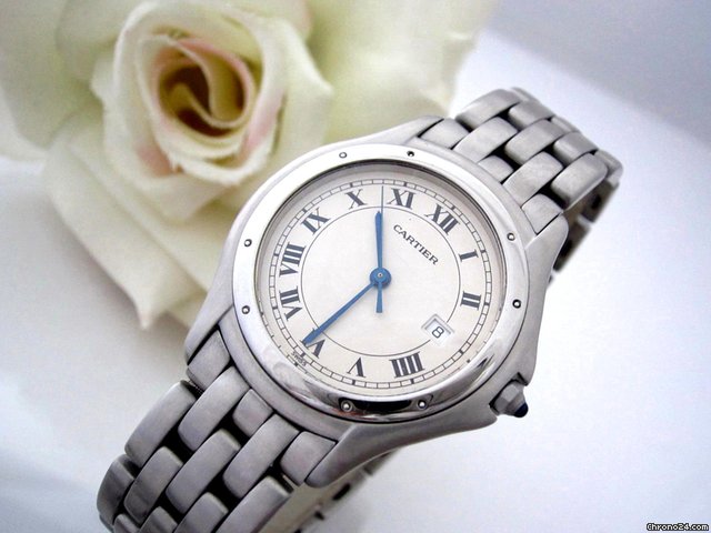 Cartier Cougar Medium Stahl/Stahl watches