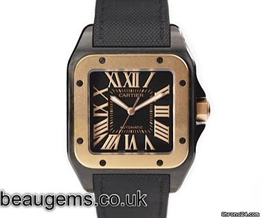 Cartier Santos 100 Carbon watches