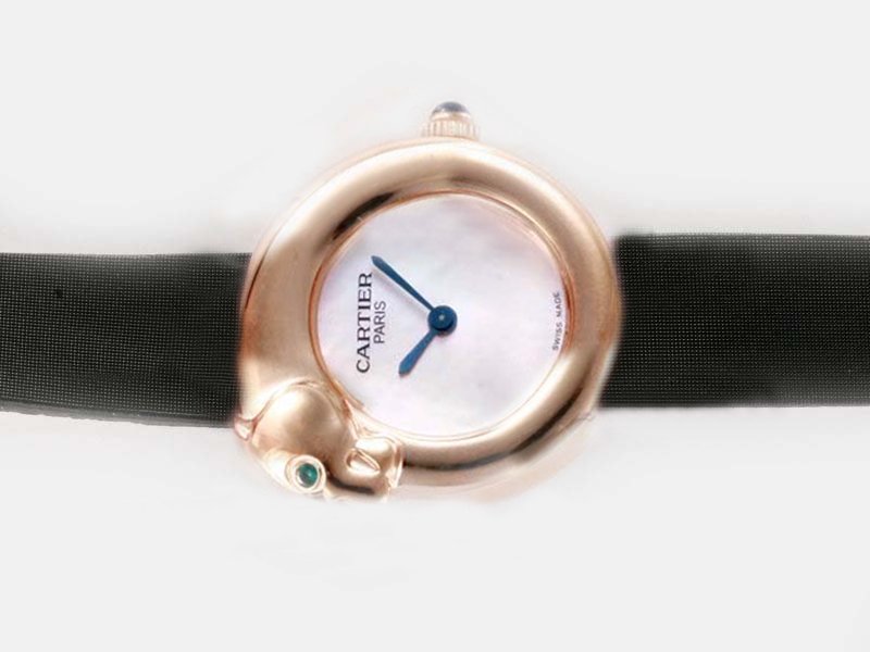 Cartier Panther WAES2549 Womens 22mm Stainless Steel Case Watch watches